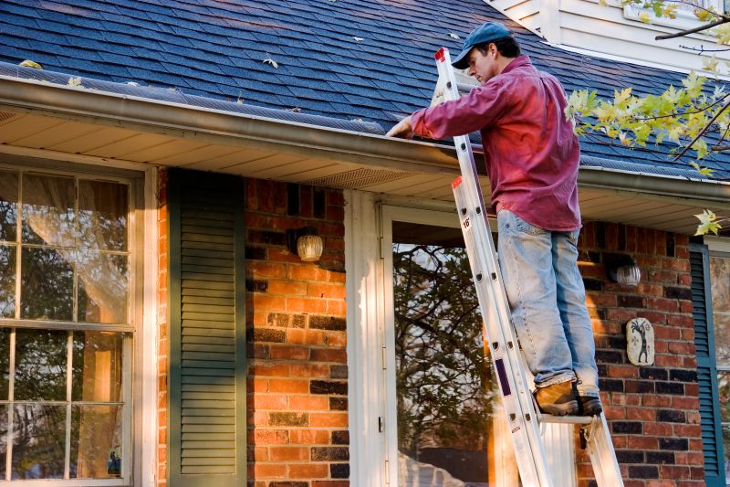 Window and Siding Experts